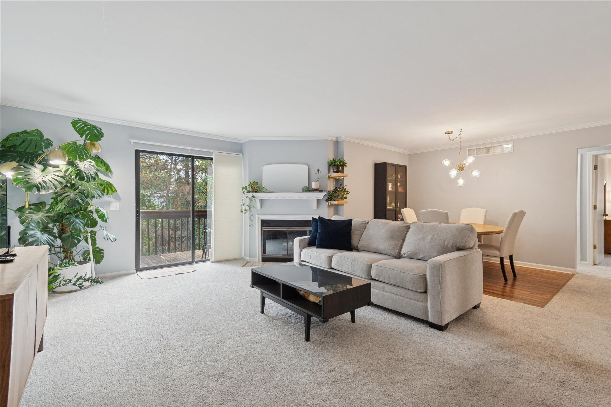 11827 Sycamore Road Plymouth, MI 48170 - Photo 3 of 34 07-11827-Sycamore-Rd-WindowStill