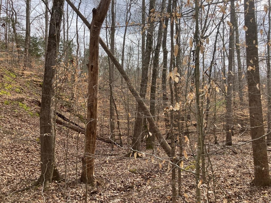213 Wynn Ferry Road Big Sandy, TN 38221 - Photo 8 of 11