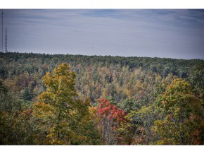 Lot 8-5 Moose Hill Road Hudson, NH 03051 - Photo 10 of 34 Gallery Image 10