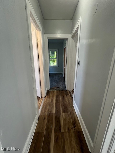 1842 Colonnade Road Cleveland, OH 44112 - Photo 30 of 47 Hall with dark hardwood / wood-style floors