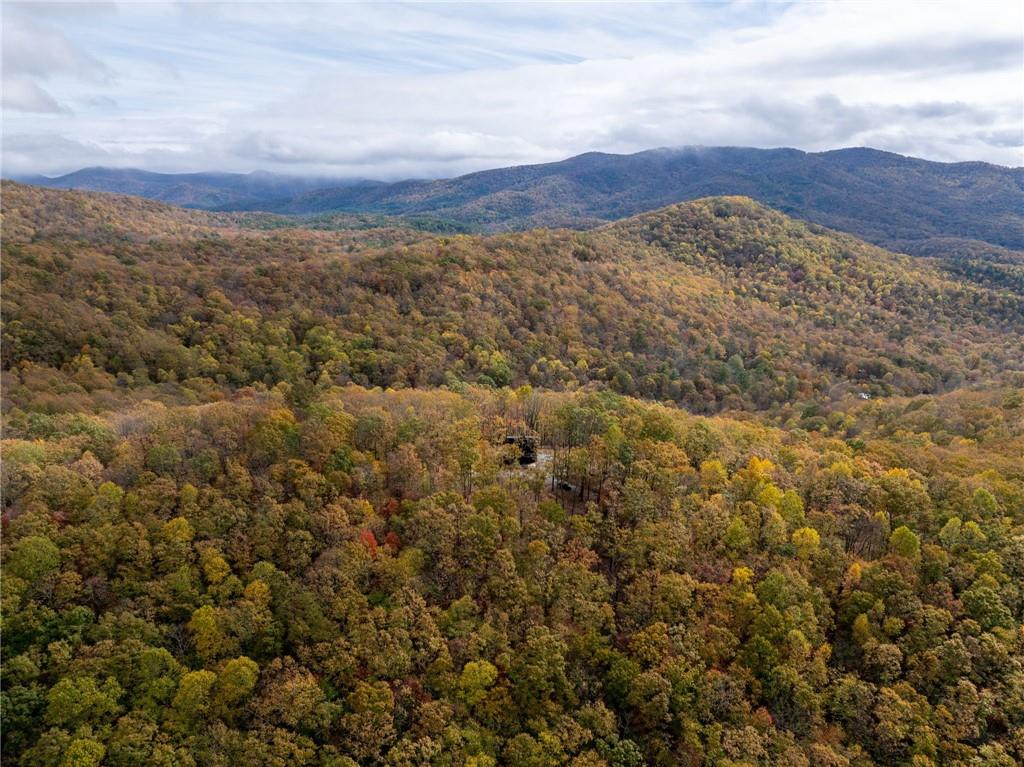 1250 Lost Forest Road Ellijay, GA 30536 - Photo 36 of 36 Gallery Image 36