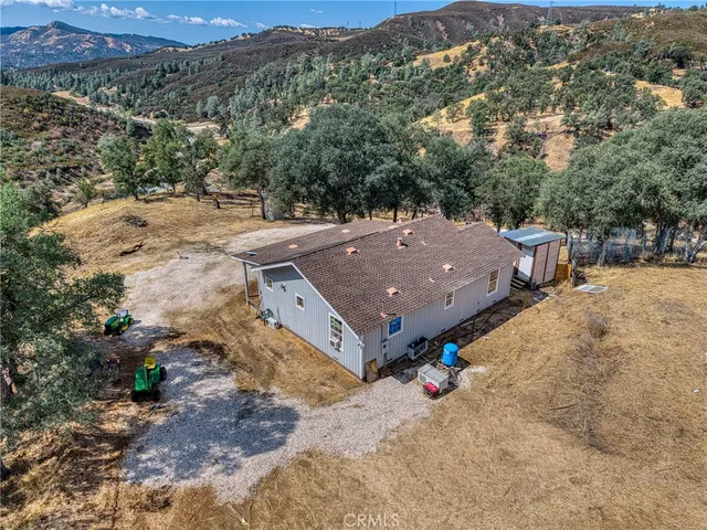 a view of a field with a tree