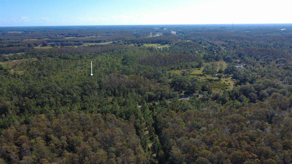 0 Cypress Creek Ranch Road St. Cloud, FL 34773 - Photo 3 of 18