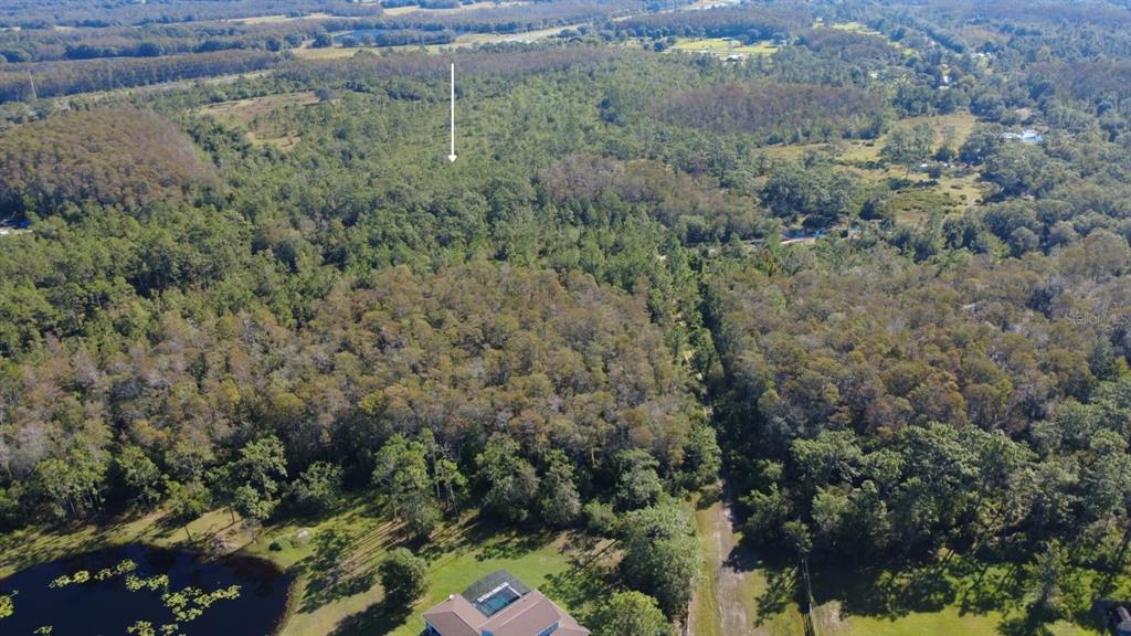 0 Cypress Creek Ranch Road St. Cloud, FL 34773 - Photo 6 of 18