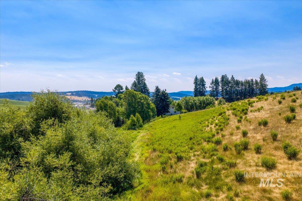 1071 Reynolds Road Princeton, ID 83857 - Photo 28 of 43 Expansive hillside terrain featuring varied vegetation, distant water body, and a clear blue sky
