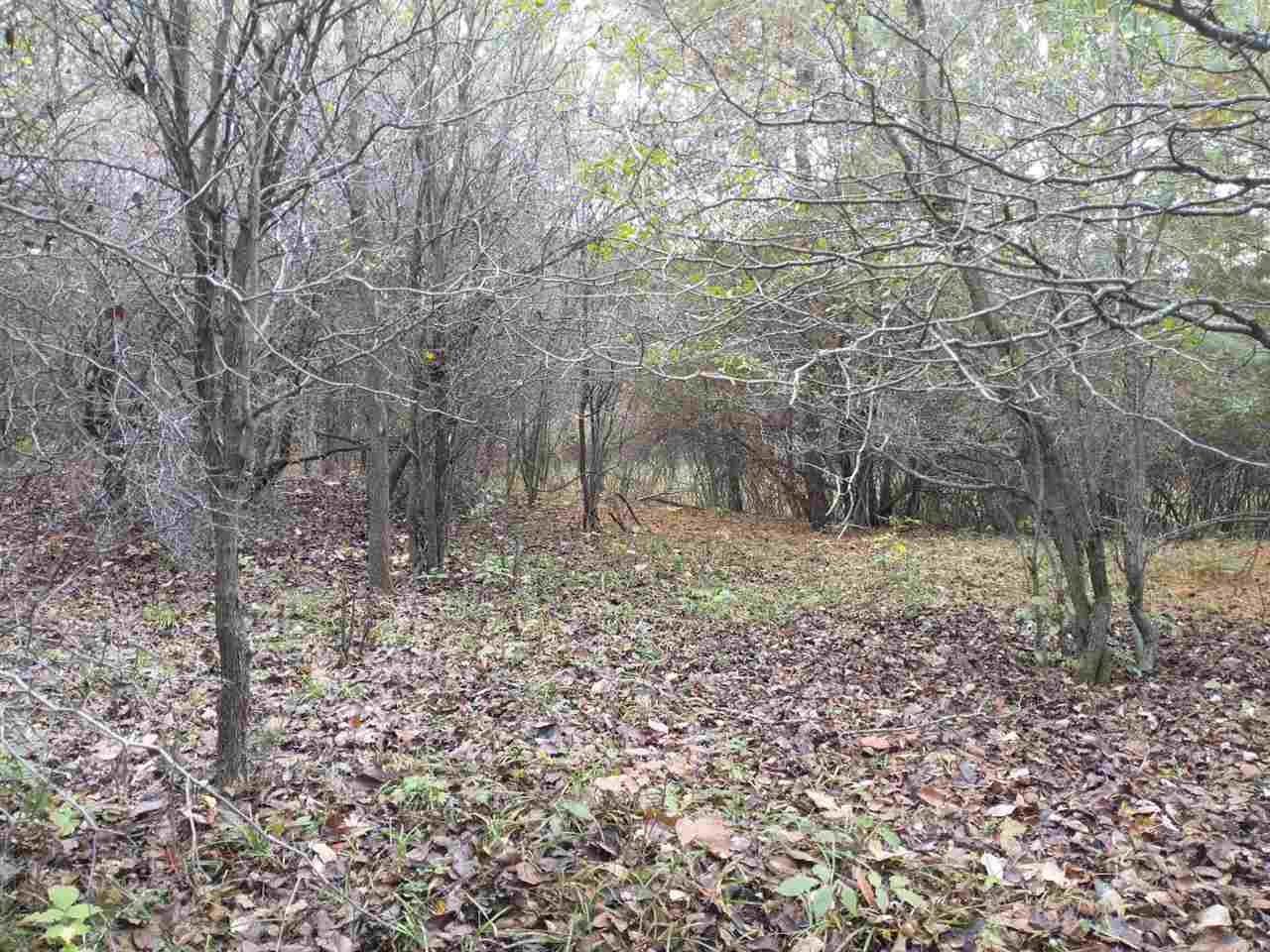 Lot 263 Islanders Way Gladwin, MI 48624 - Photo 8 of 14