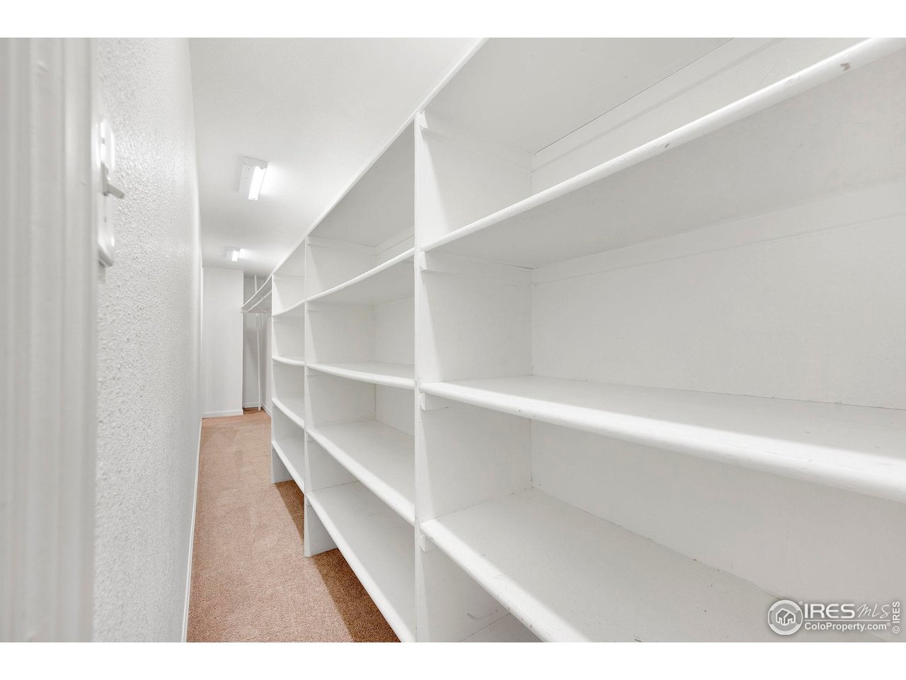 3109 Concord Way Longmont, CO 80503 - Photo 37 of 50 This is the BEST closet