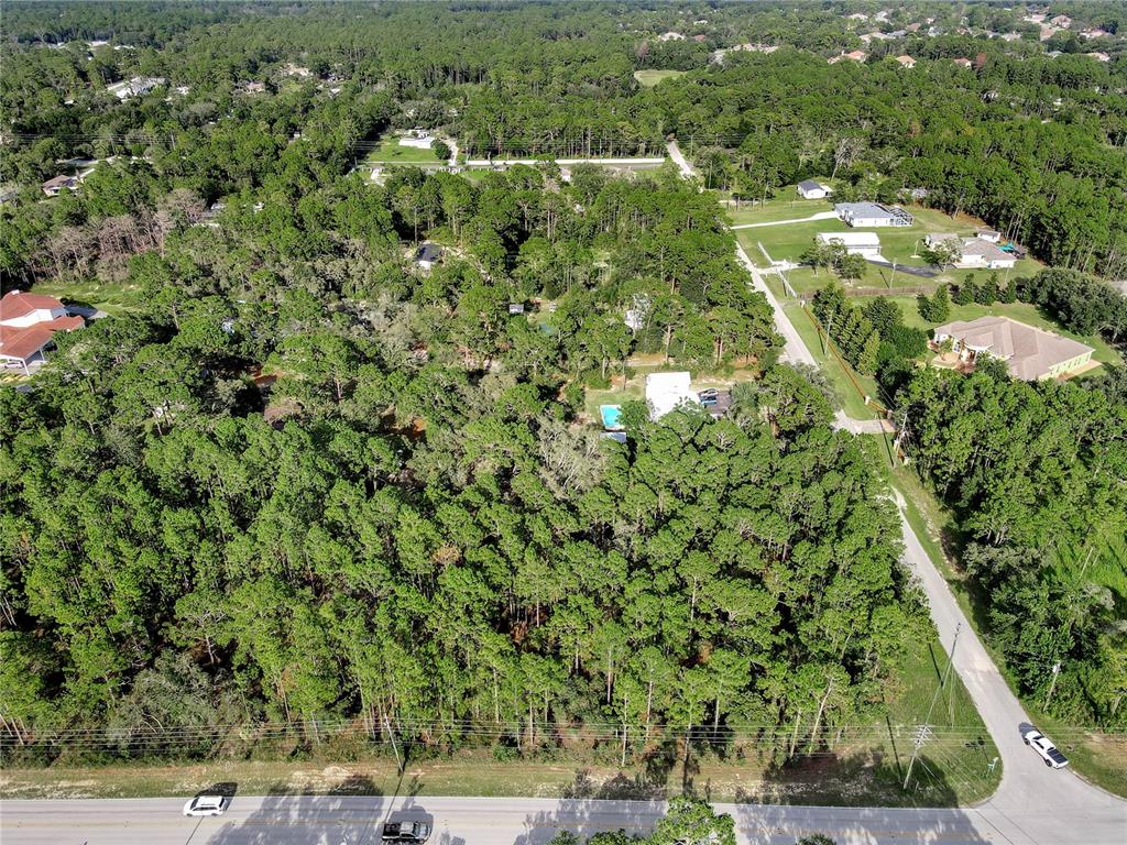 14163 Highgrove Road Spring Hill, FL 34609 - Photo 5 of 15