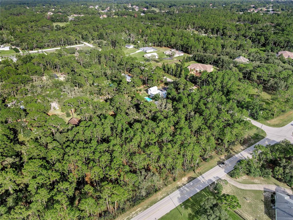 14163 Highgrove Road Spring Hill, FL 34609 - Photo 6 of 15