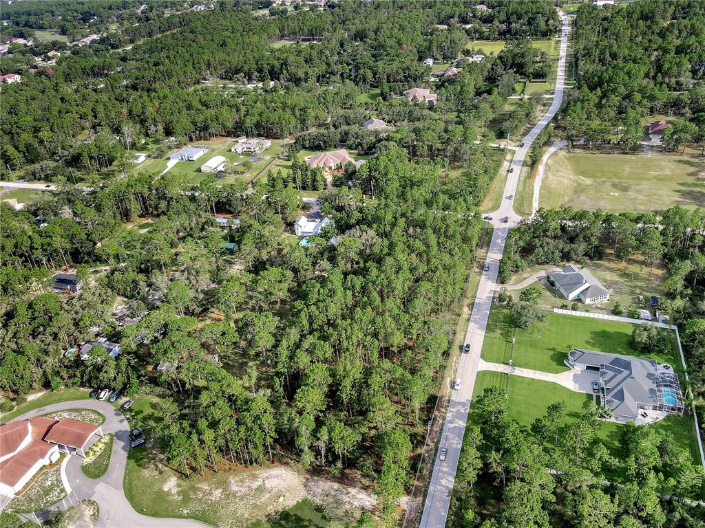 14163 Highgrove Road Spring Hill, FL 34609 - Photo 9 of 15