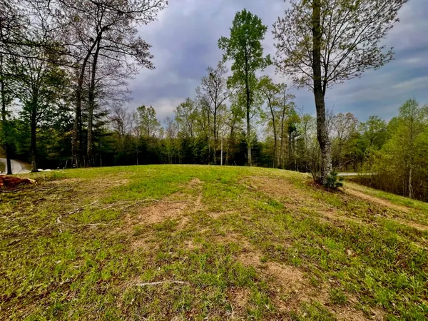 a view of a field with trees in the background