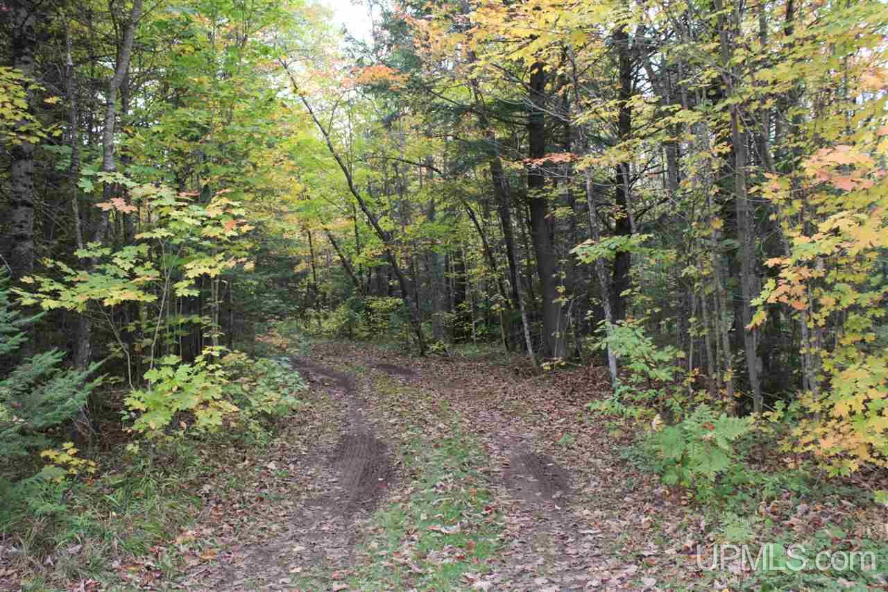 495 Johnson Road Wakefield, MI 49968 - Photo 26 of 34