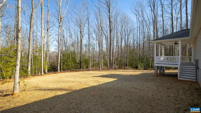 a view of backyard with tree