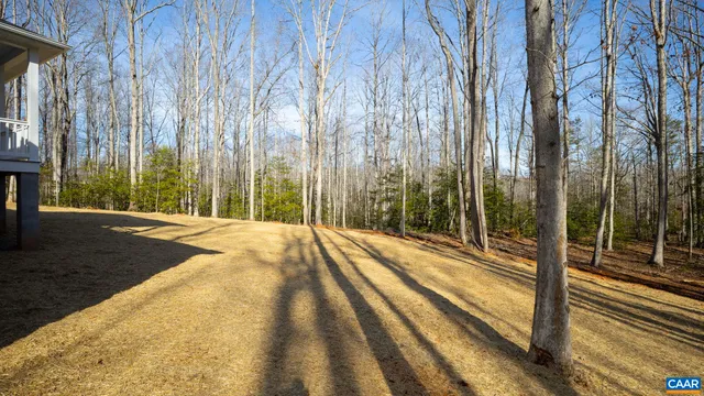 a view of a dry yard with trees in the background