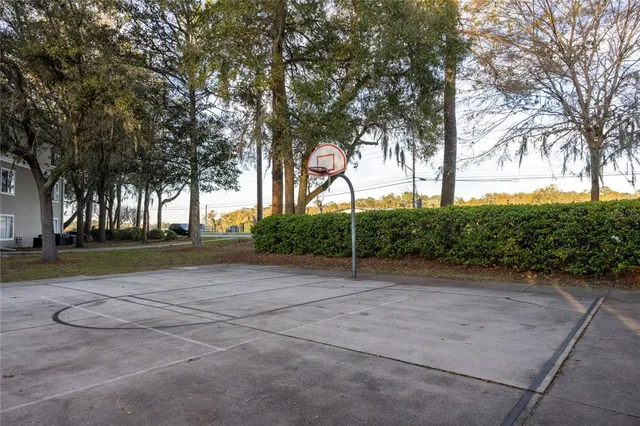 a view of backyard space