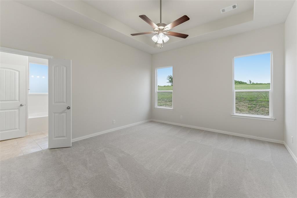 119 Hillview Trail Decatur, TX 76234 - Photo 23 of 30 Spacious interior room with light gray wall paint, gray carpet flooring, and a tray ceiling with a ceiling fan light fixture