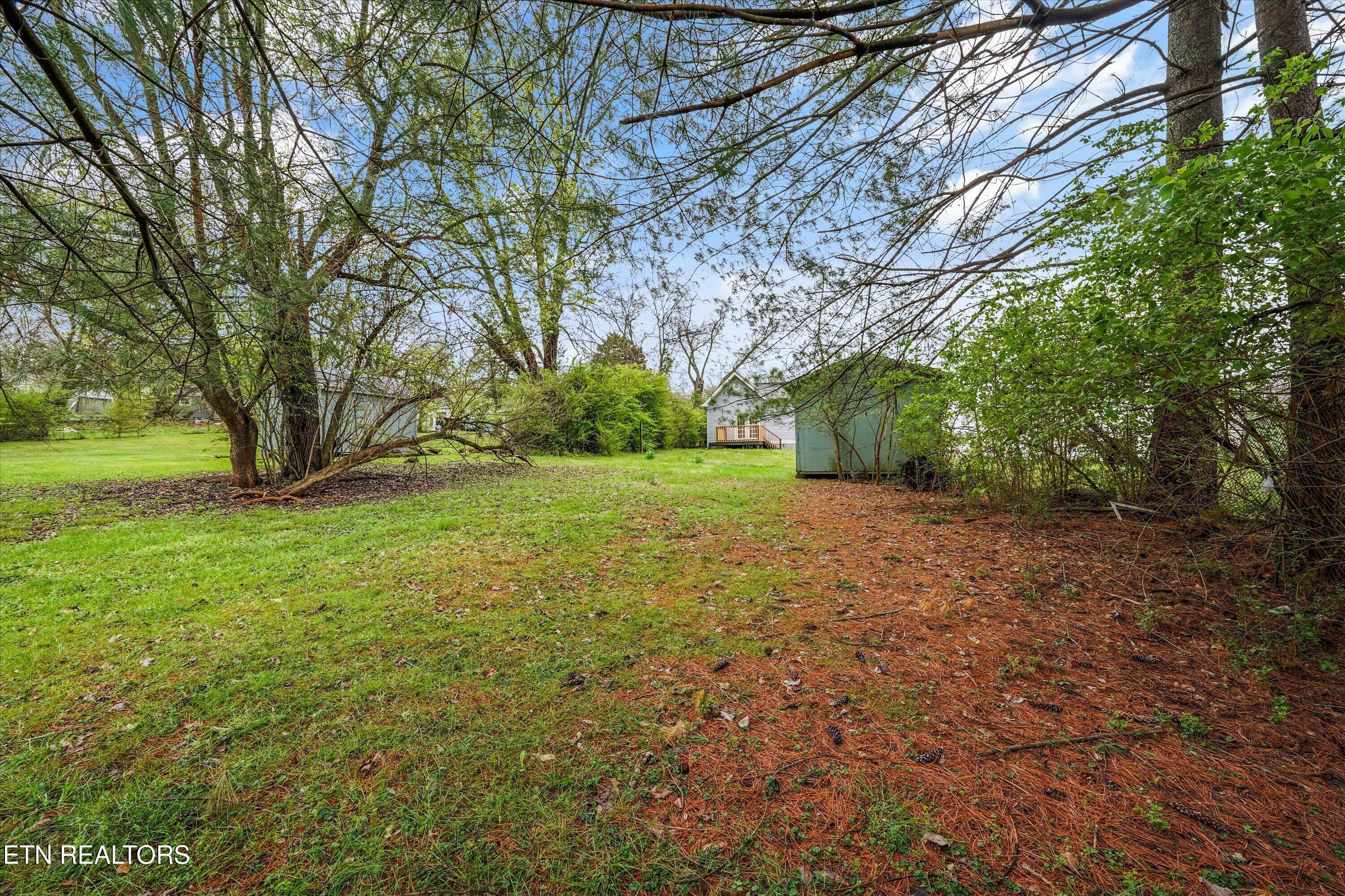 4113 Coster Road Knoxville, TN 37912 - Photo 34 of 35 33-4113 Coster Rd 27