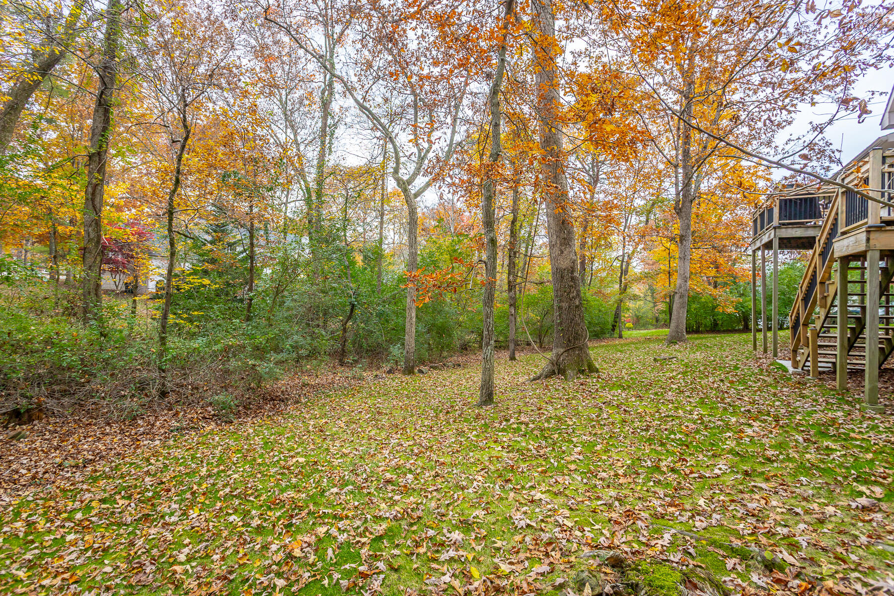 16 Northfield Road Signal Mountain, TN 37377 - Photo 46 of 51 Large backyard