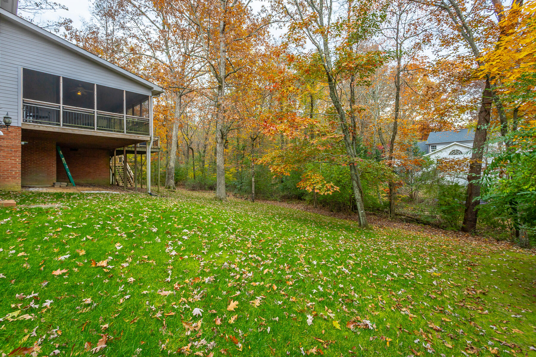 16 Northfield Road Signal Mountain, TN 37377 - Photo 47 of 51 Natural setting