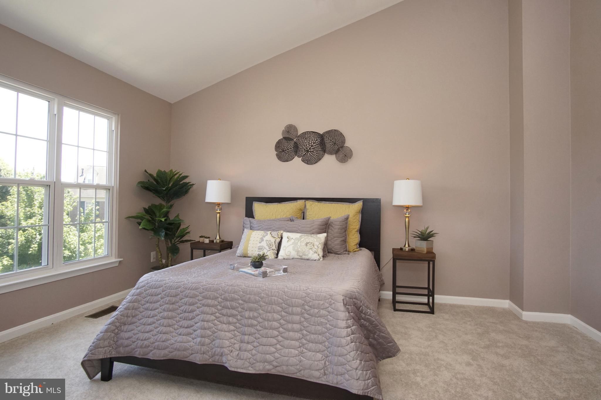 45597 Whitcomb Square Sterling, VA 20166 - Photo 18 of 28 Bedroom Master_Vaulted ceiling_New windows