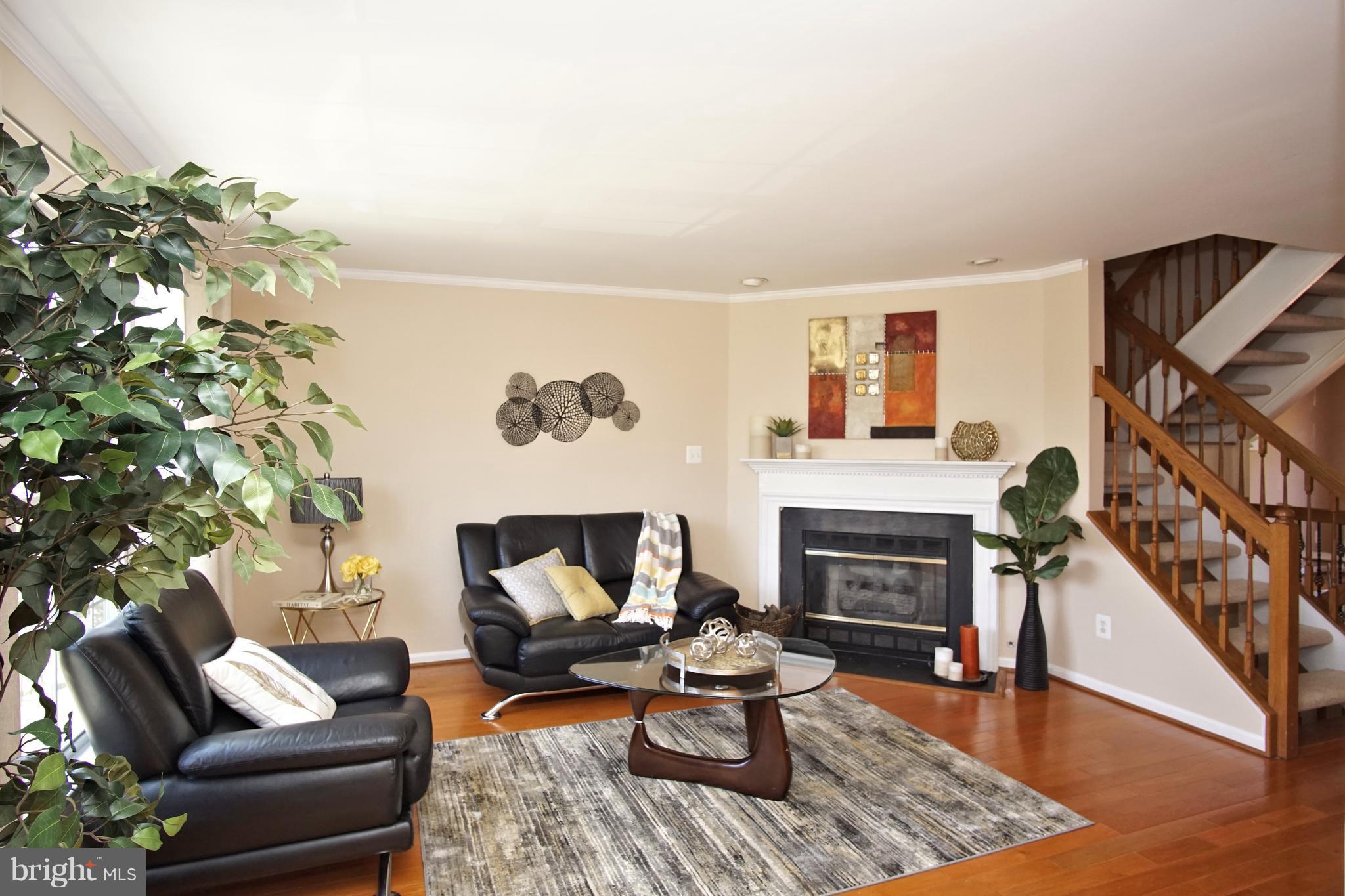 45597 Whitcomb Square Sterling, VA 20166 - Photo 3 of 28 Elegant living room with a gas fireplace