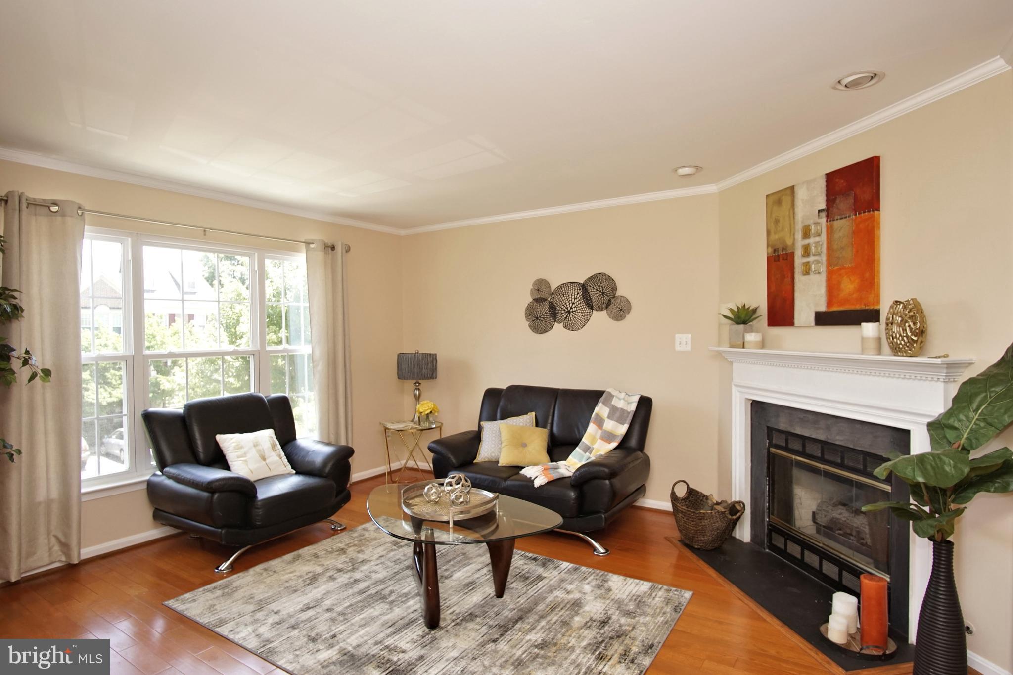 45597 Whitcomb Square Sterling, VA 20166 - Photo 4 of 28 Elegant living room with brand new windows