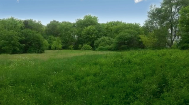 a view of grassy field with trees in the background
