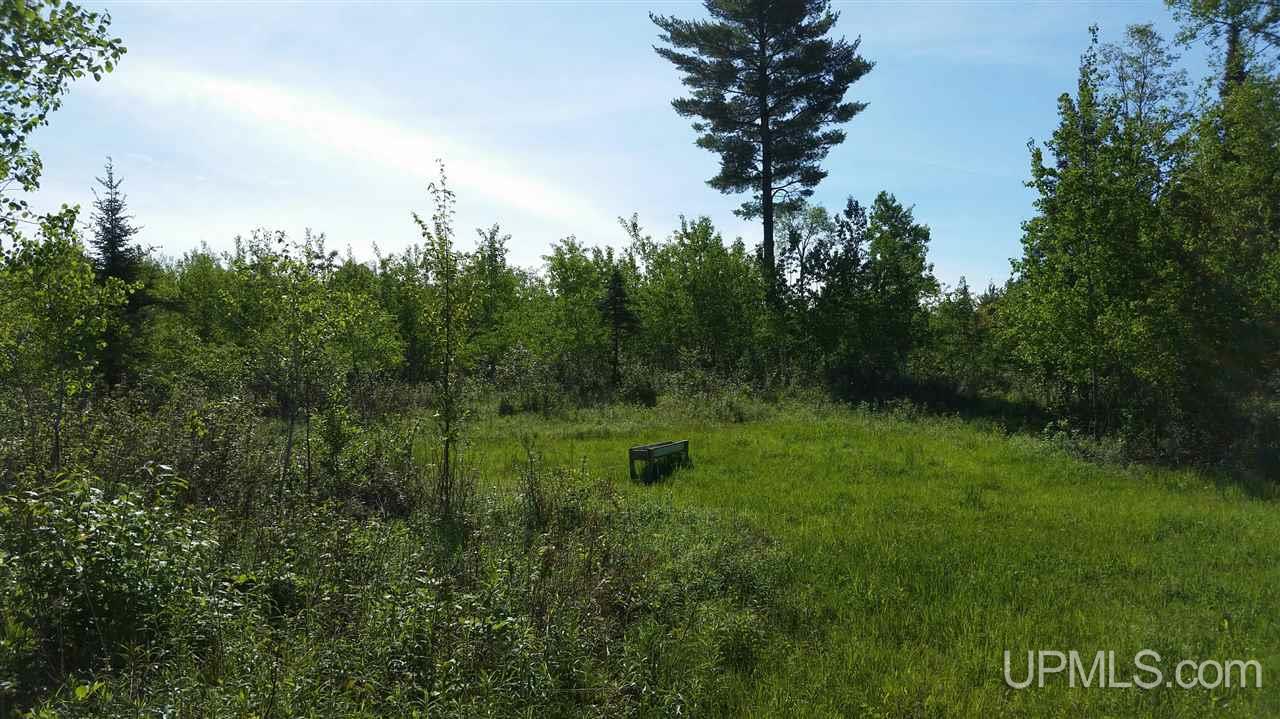 Tbd Off Kime-backlund Road Foster City, MI 49807 - Photo 5 of 12