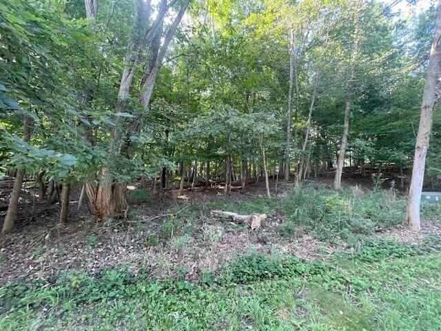 464 Roxbury Road Valparaiso, IN 46385 - Photo 3 of 12 a view of backyard with green space