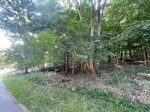 464 Roxbury Road Valparaiso, IN 46385 - Photo 4 of 12 a view of a forest with trees in the background