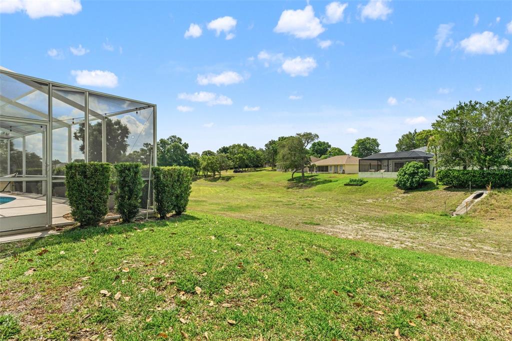 10327 Velvetseed Circle Spring Hill, FL 34608 - Photo 52 of 60