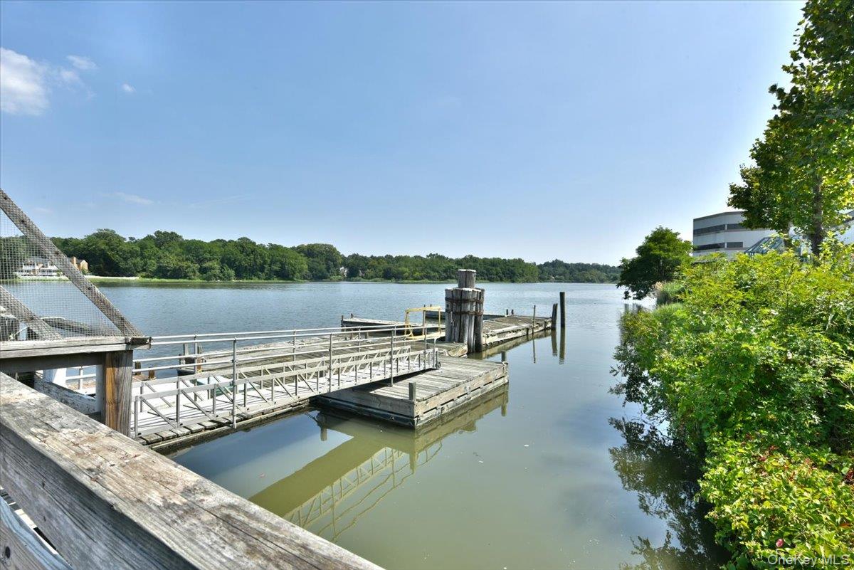 320 East Shore Road, Unit 2A Great Neck, NY 11023 - Photo 18 of 26 a view of a lake with couches chairs
