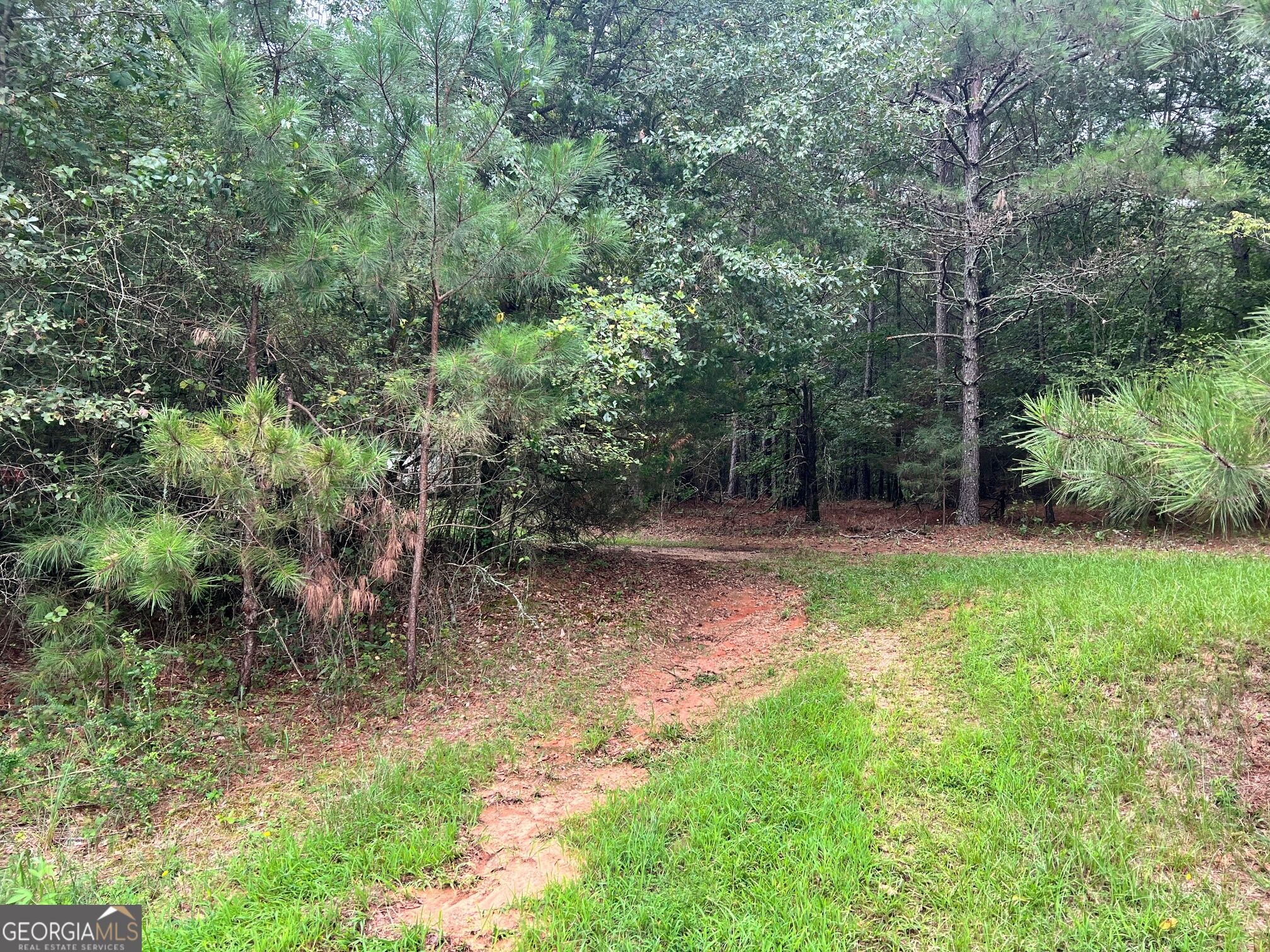 1383 Sims Road Southeast Statham, GA 30666 - Photo 3 of 11 Gallery Image 3