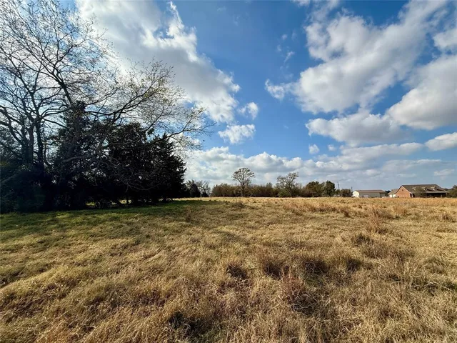 a view of a yard with large trees