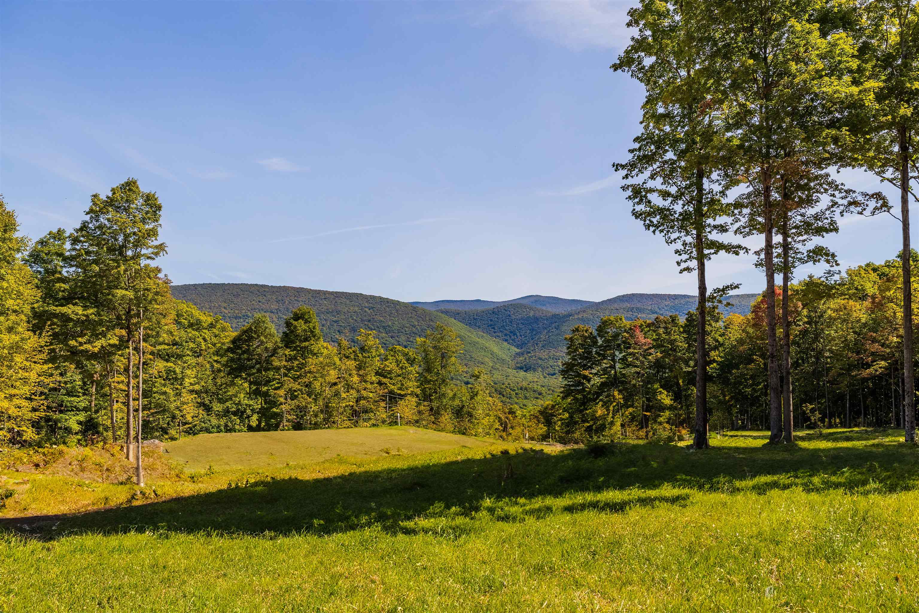 737 Squirrel Hollow Road Dorset, VT 05253 - Photo 1 of 7 Gallery Image 1