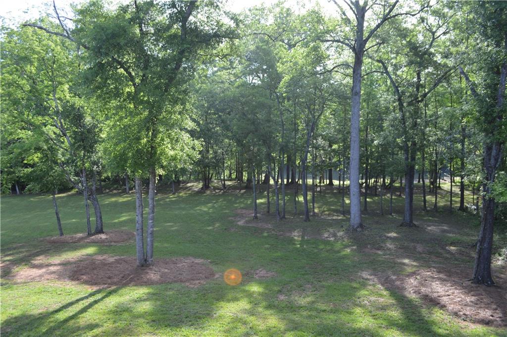 8 Ripplewood Trail Euharlee, GA 30145 - Photo 36 of 90 a view of a park