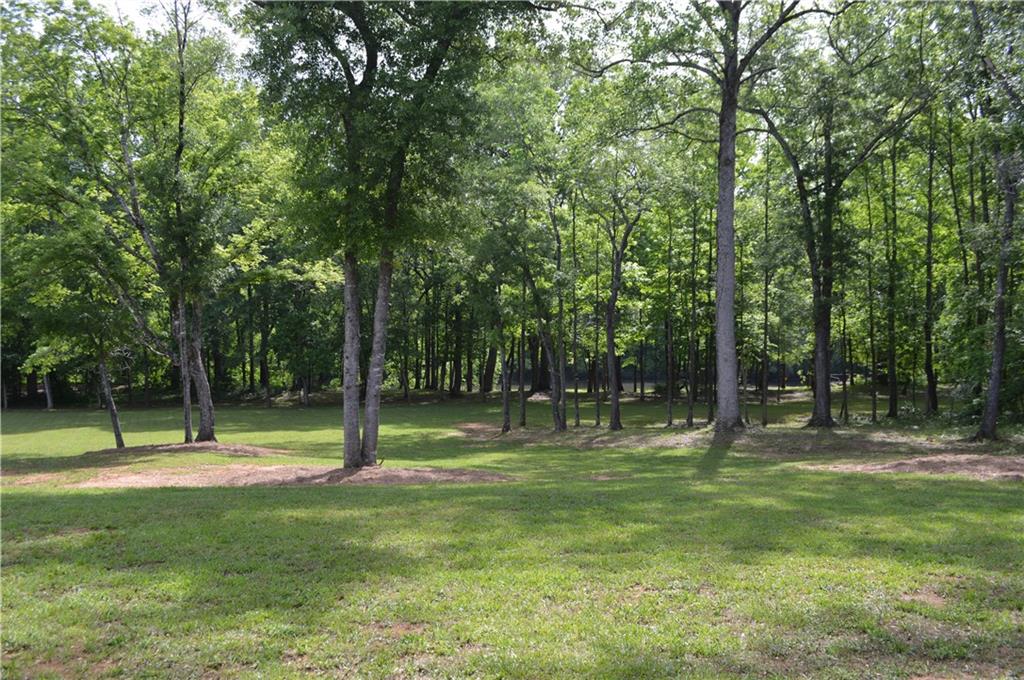 8 Ripplewood Trail Euharlee, GA 30145 - Photo 70 of 90 a view of a park with lots of trees