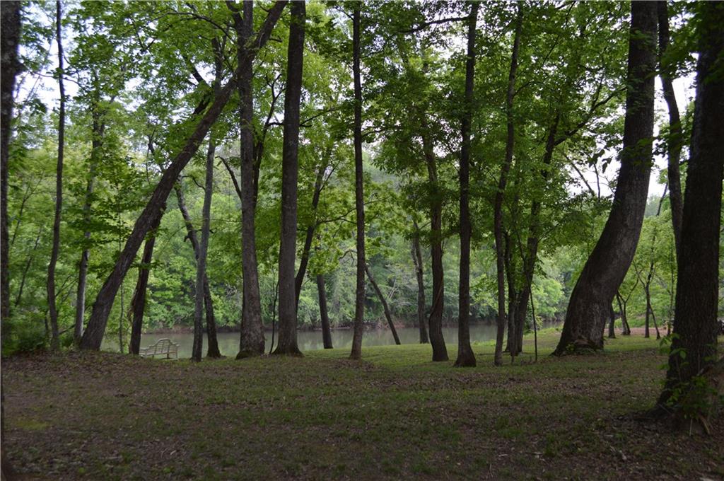 8 Ripplewood Trail Euharlee, GA 30145 - Photo 82 of 90 a big yard with trees in the background