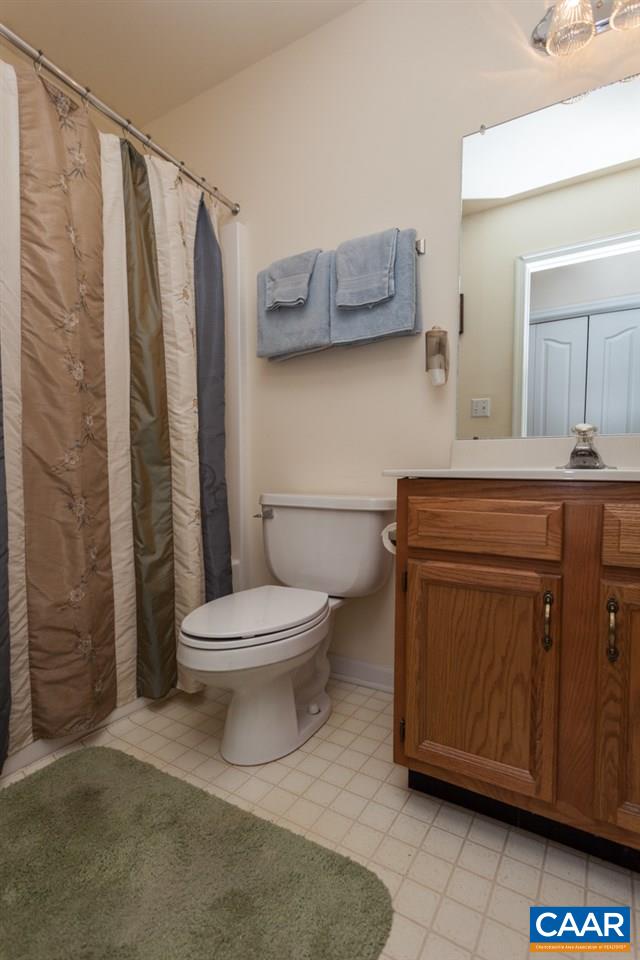 46 Riverside Drive Palmyra, VA 22963 - Photo 16 of 19 a bathroom with a toilet a sink and bathtub