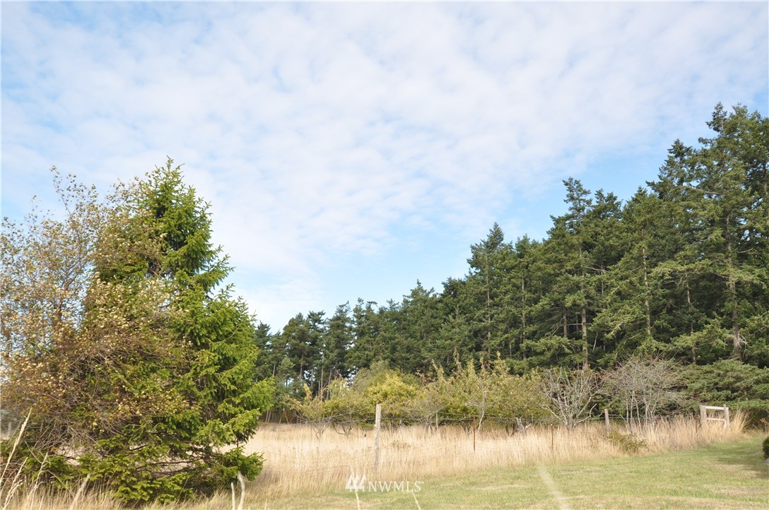 242 Lopez Hill Road Lopez Island, WA 98261 - Photo 14 of 24