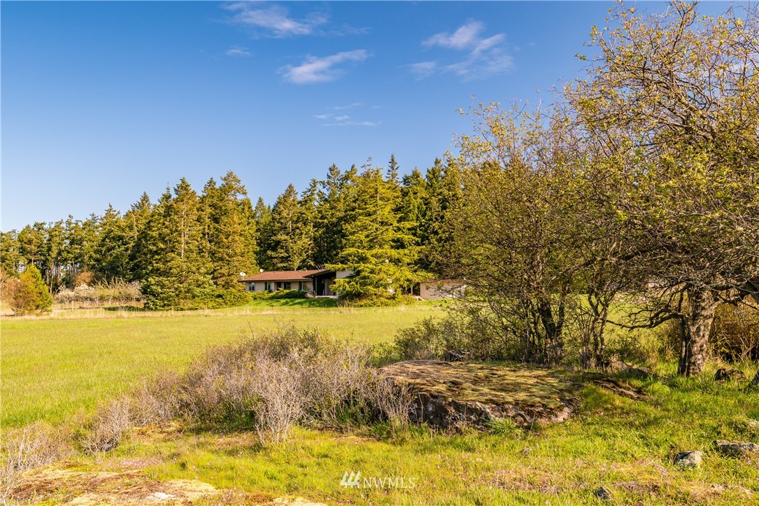 242 Lopez Hill Road Lopez Island, WA 98261 - Photo 4 of 24