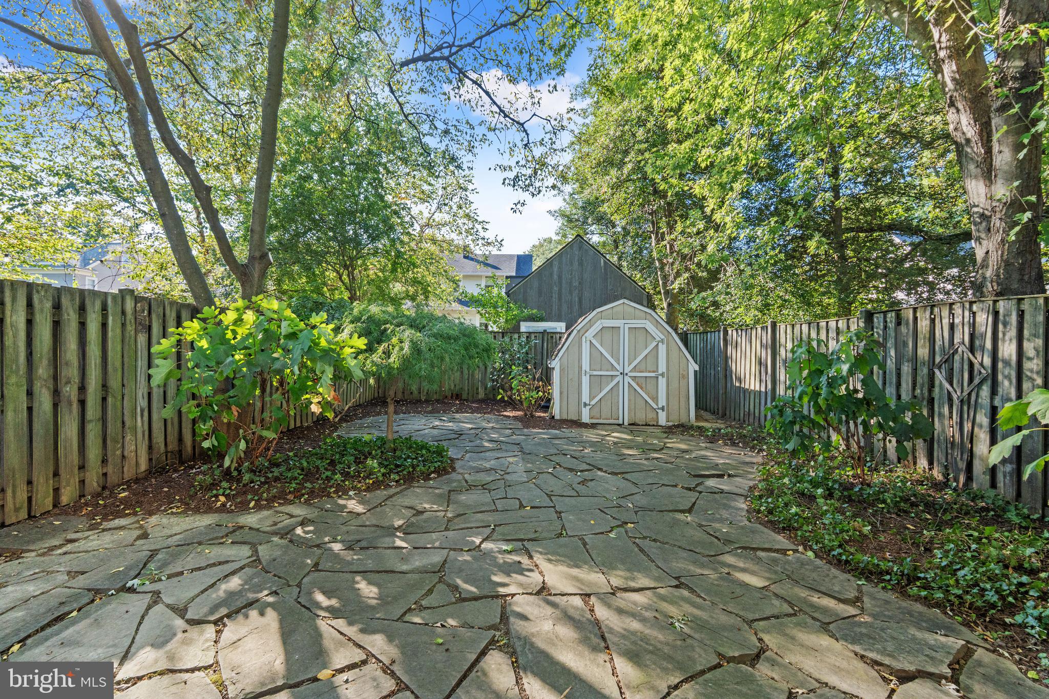 307 East Oxford Avenue, Unit 1/2 Alexandria, VA 22301 - Photo 29 of 34 a large tree in front of a house