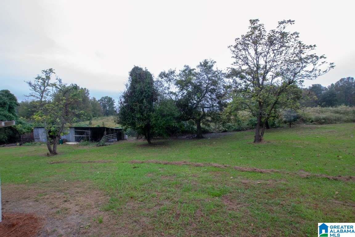 10385 Shipptown Road Empire, AL 35063 - Photo 47 of 49