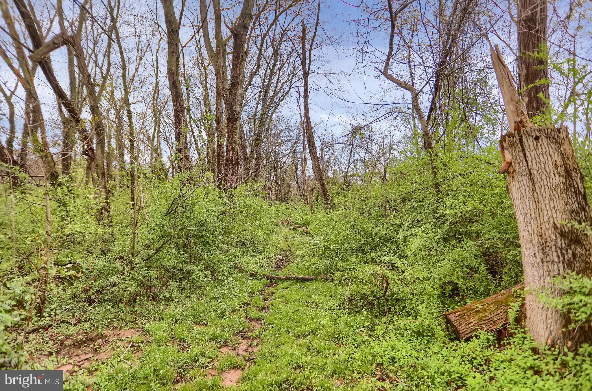 61 Benvenue Road Duncannon, PA 17020 - Photo 53 of 61
