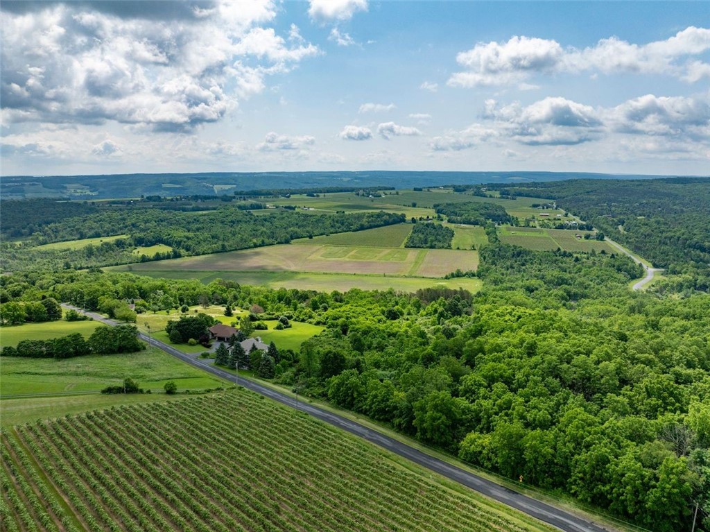 0 Esperanza Road Keuka Park, NY 14478 - Photo 12 of 17