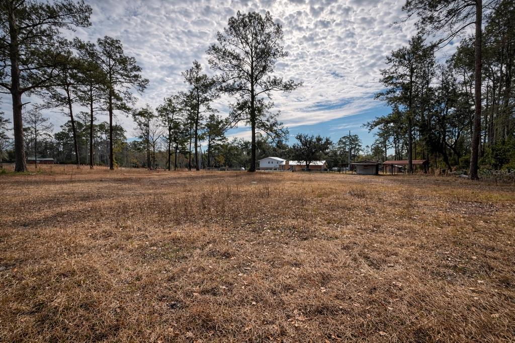 355 Southwest Marvin Burnett Road Lake City, FL 32025 - Photo 5 of 65