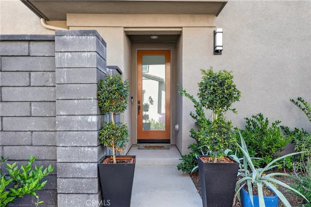 a potted plant sitting in front of a house
