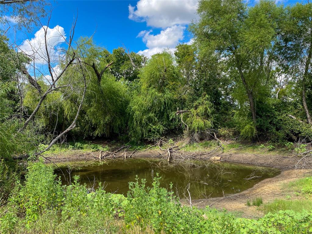 1700 Don Lee Road Joshua, TX 76058 - Photo 16 of 33 Pond #1