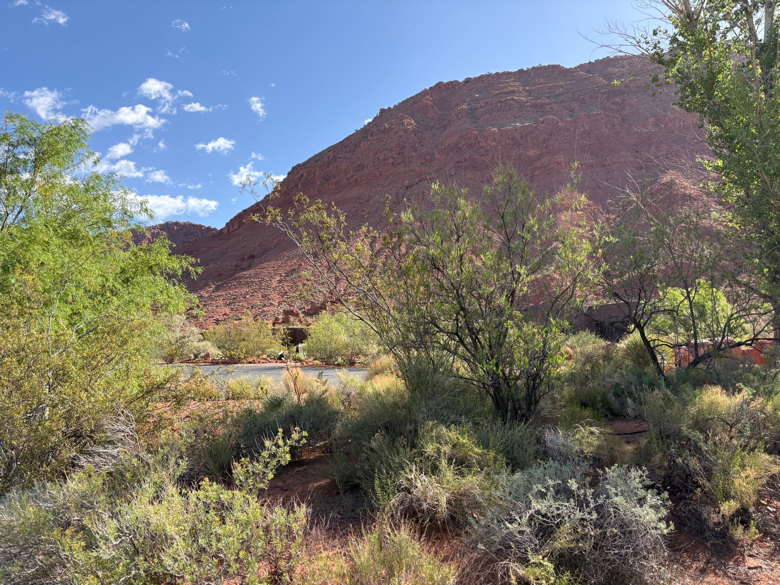 Tbd North Agave Way, Unit 107 Ivins, UT 84738 - Photo 1 of 6 East