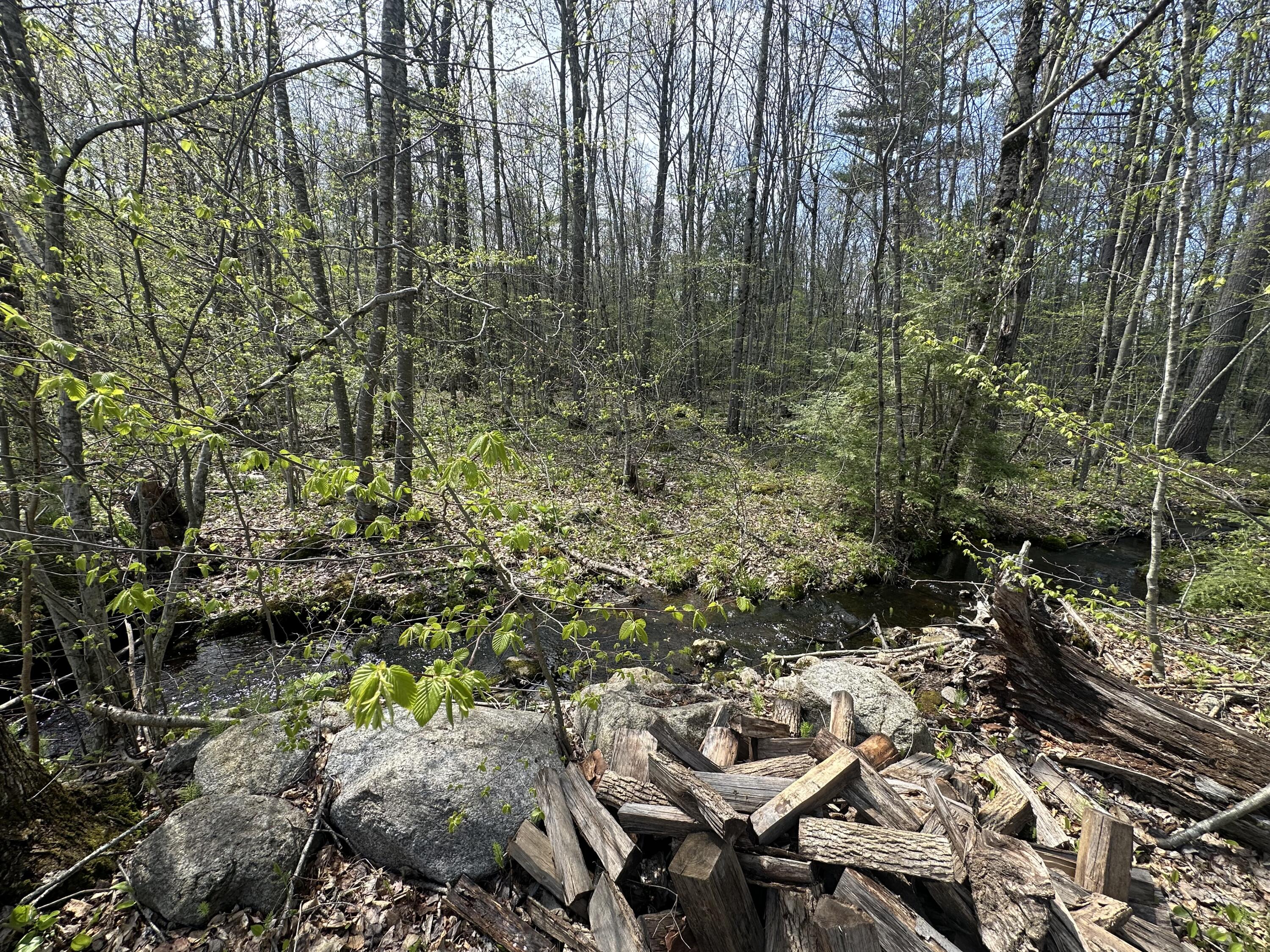 102 Goding Road Lebanon, ME 04027 - Photo 18 of 18 IMG_0532